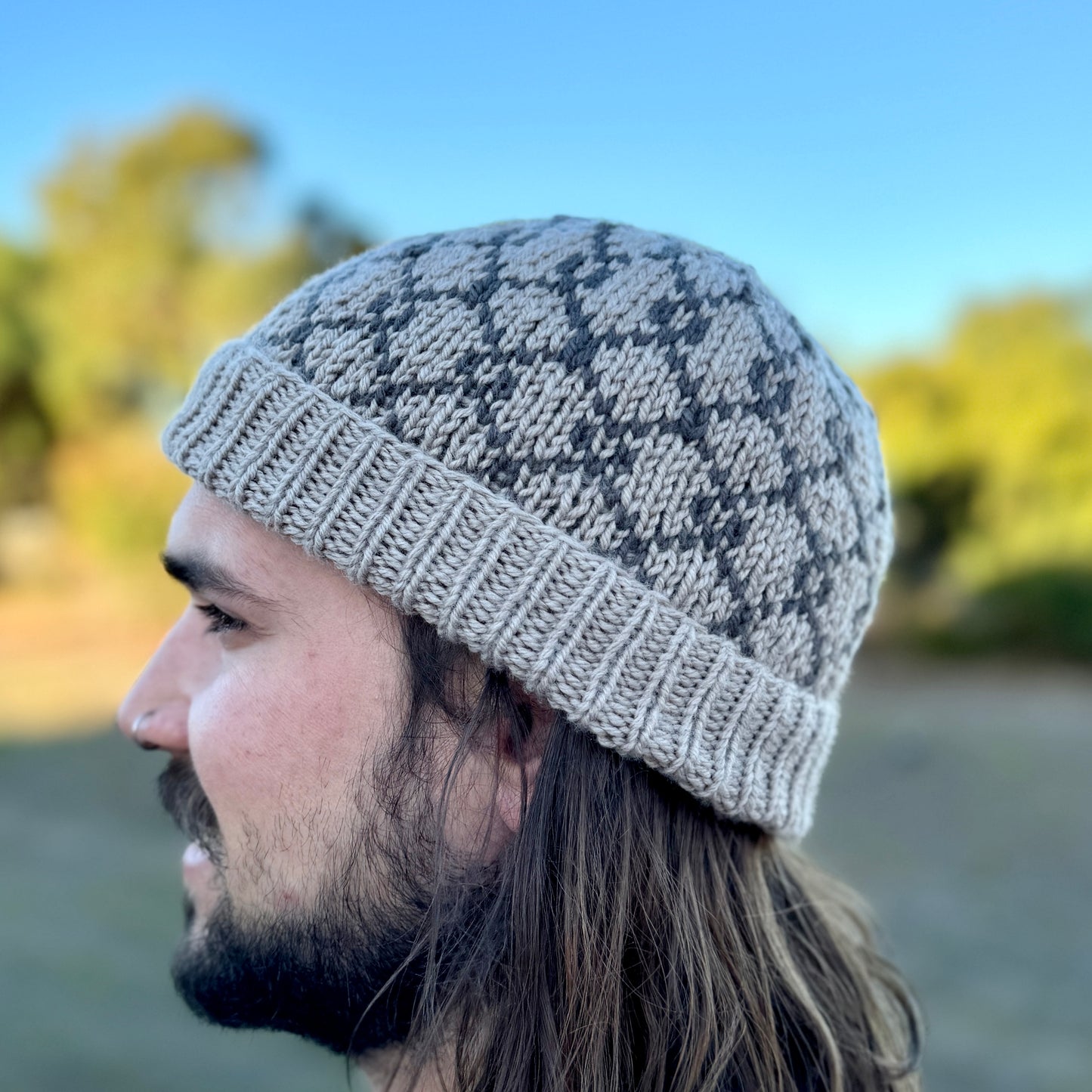 ChainLink Beanie Pattern